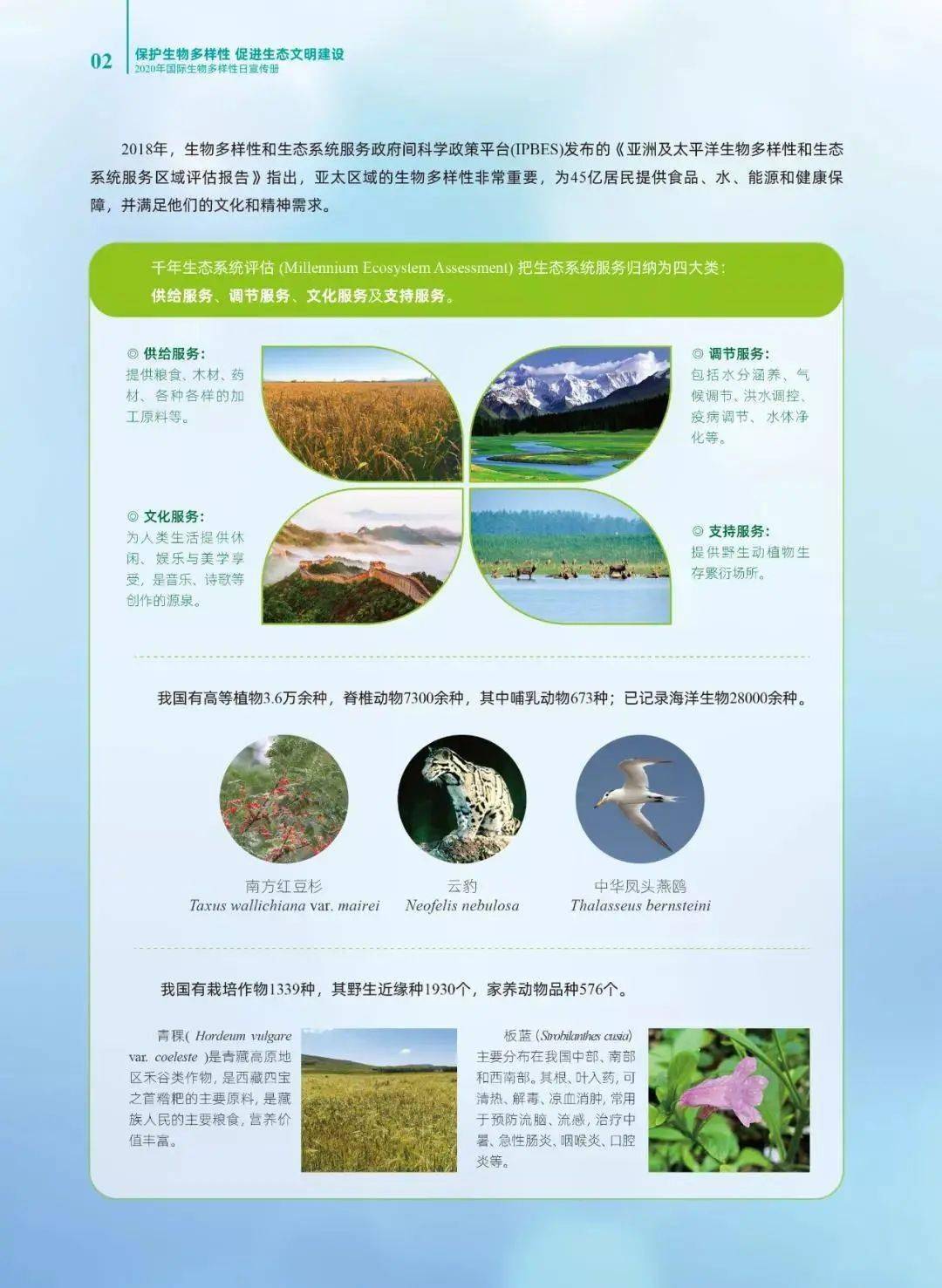 濒危物种与生态系统保护，成功案例及生物多样性保护实践