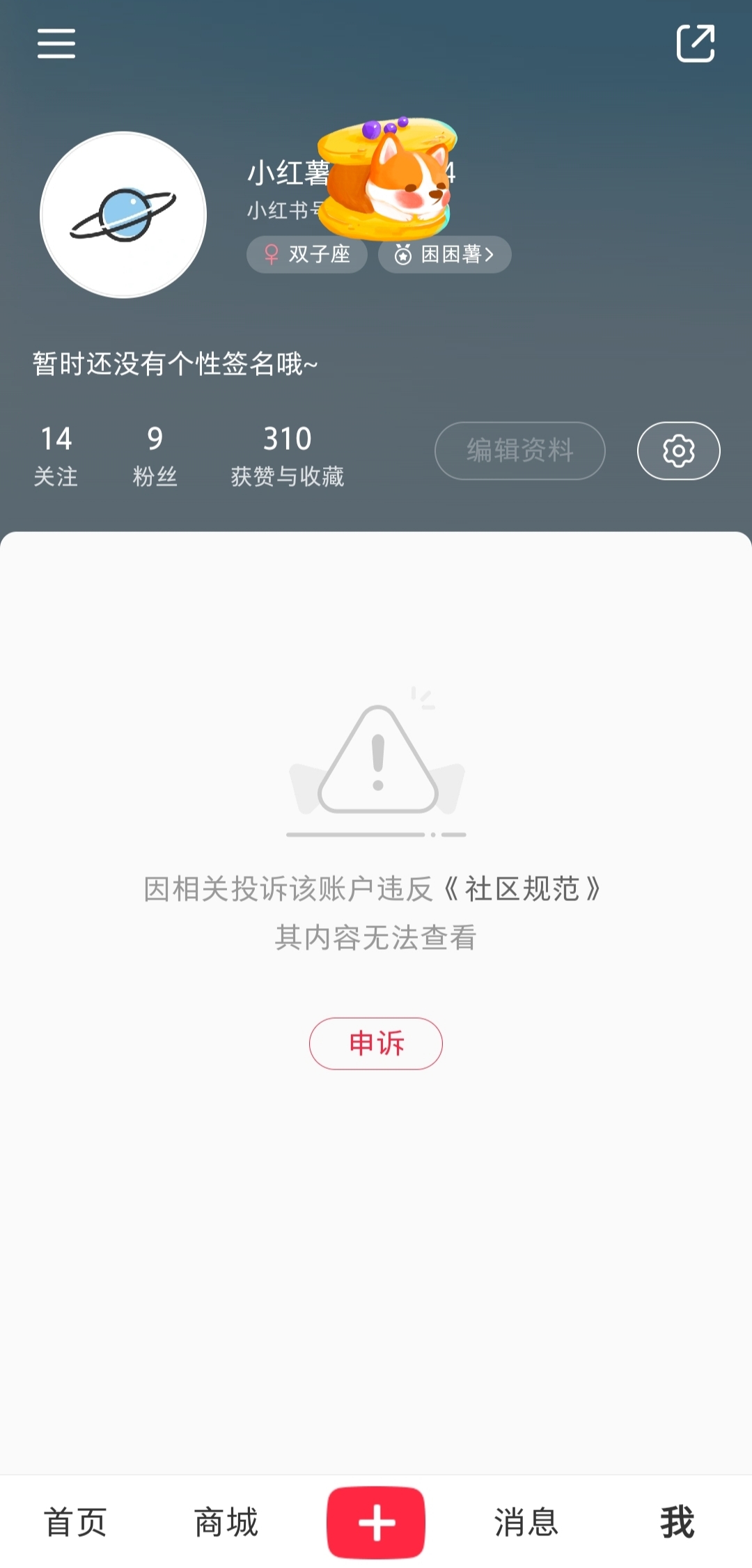 小红书账号运营指南，从新手入门到精通之道