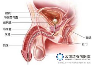 第2223页