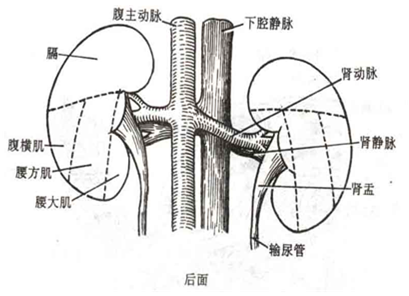 财经 第366页