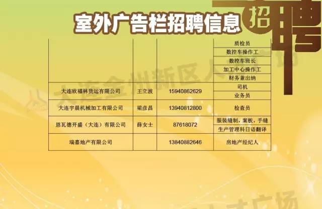 金州区最新招聘情报全面放送