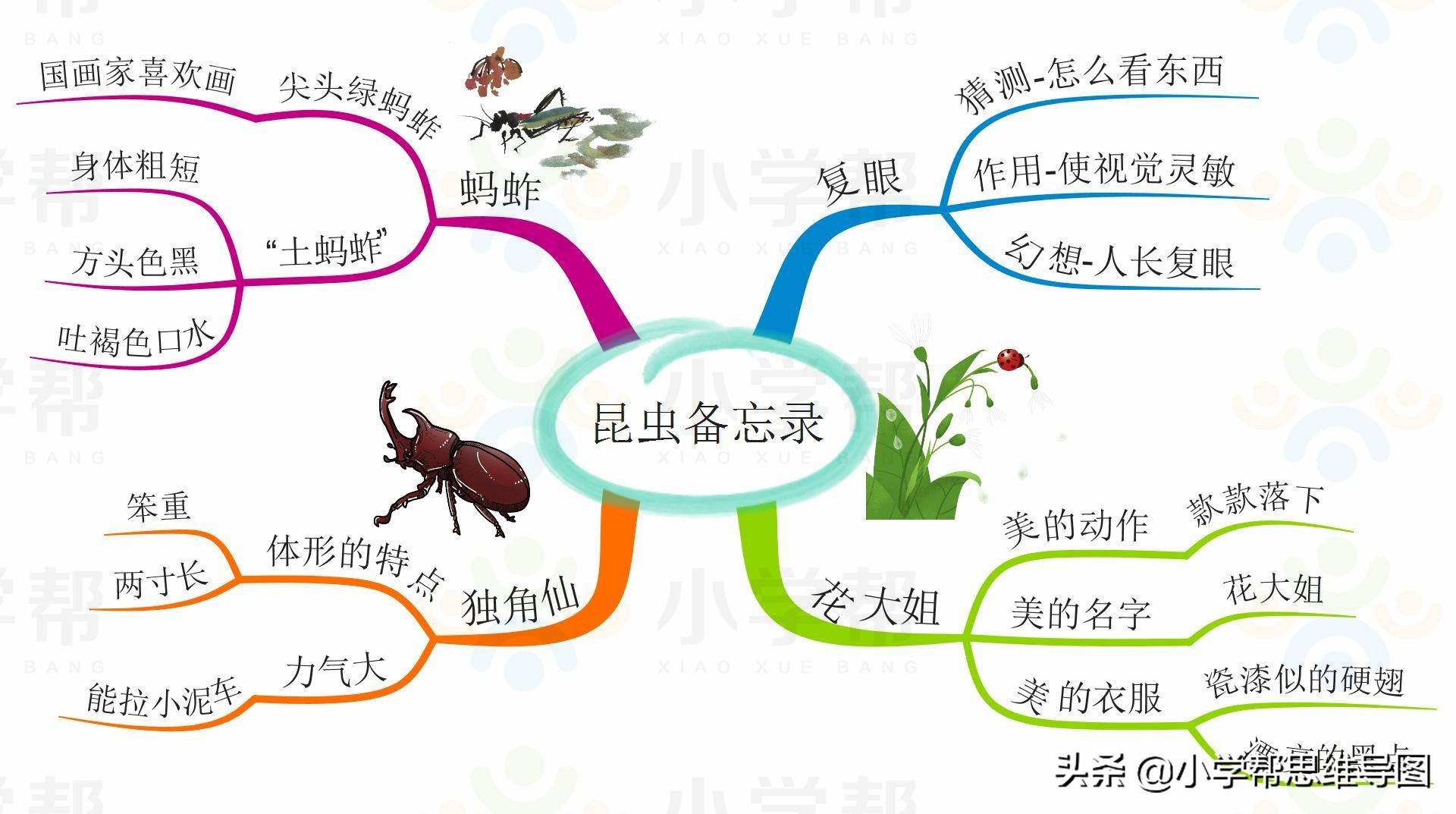 jushumin 第10页