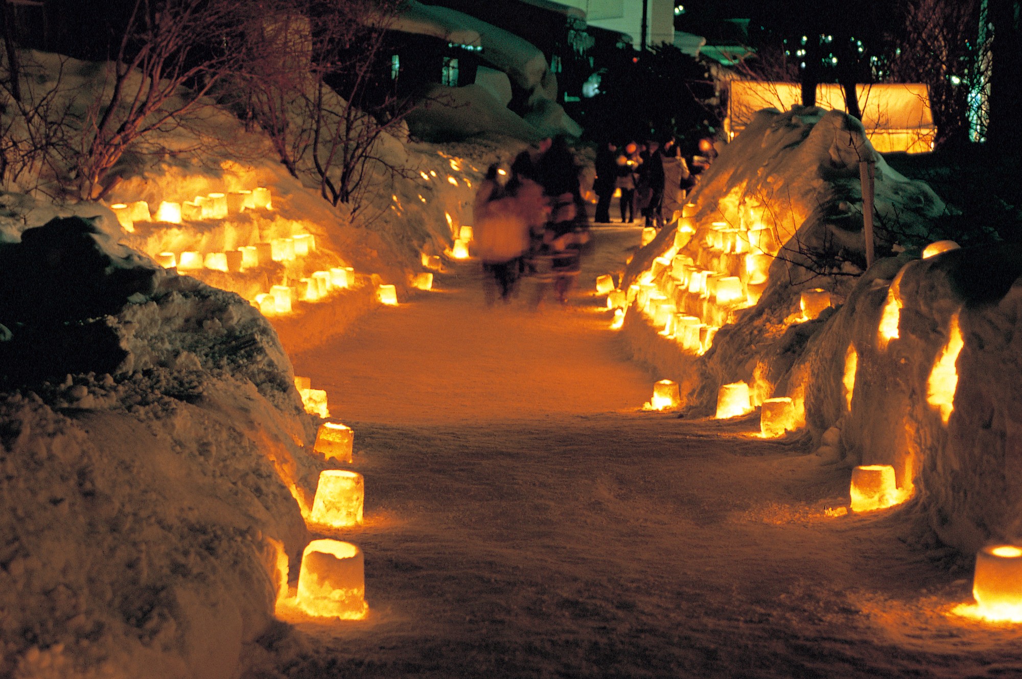 雪祭盛典，免费下载的欢喜与考验