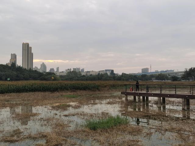 西安桃花潭停车场收费情况解析与探讨