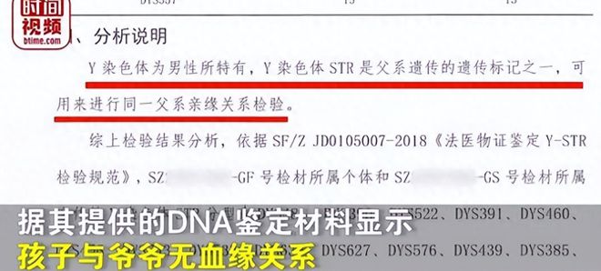 公职人员婚外情处理办法，最新动态与应对策略