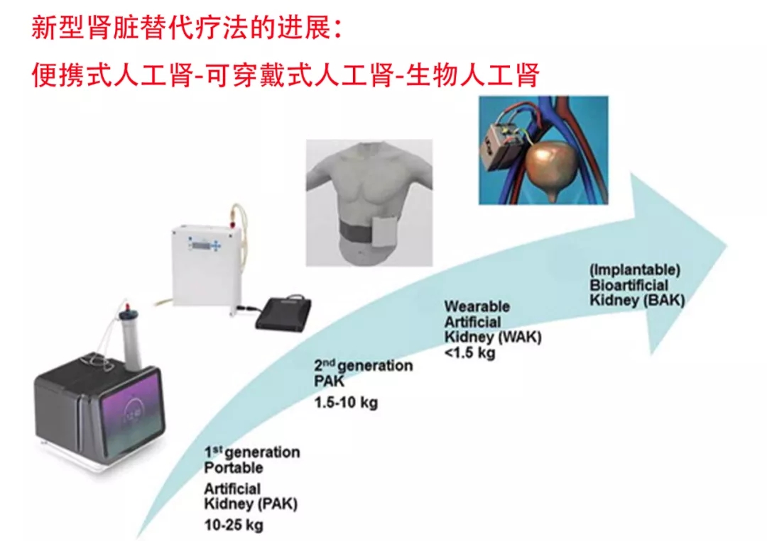 geli 第5页