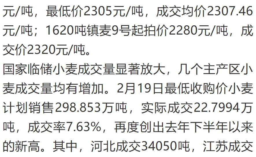 今日小麦价格动态，市场走势深度分析与预测