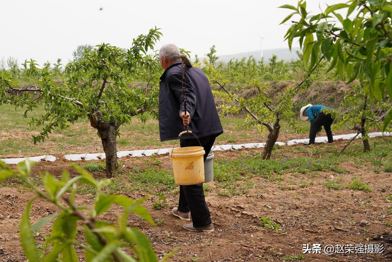 神医小农民最新章节，乡村奇迹与希望之光的照耀