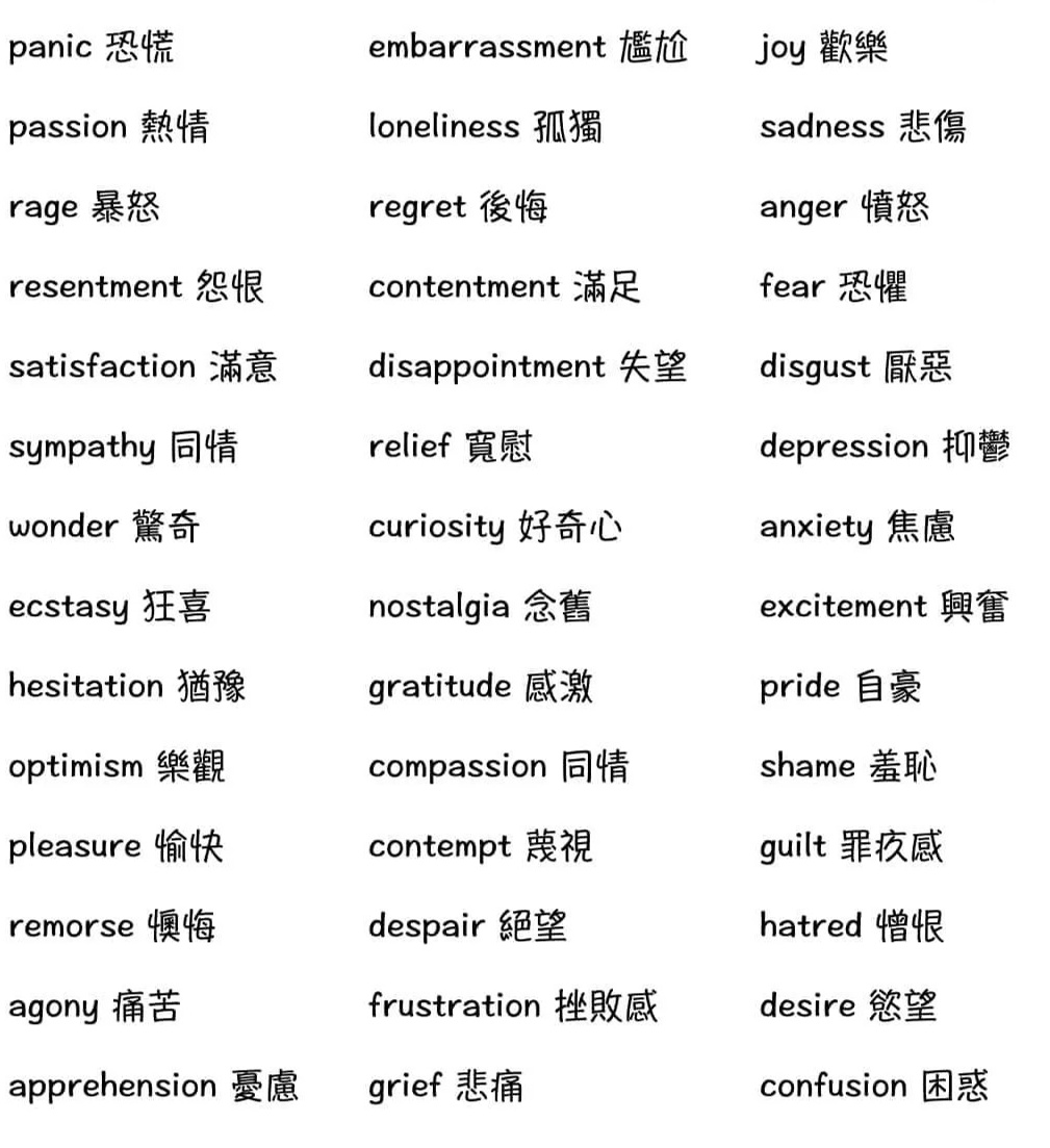 探索最新词汇趋势及其对语言表达的深远影响