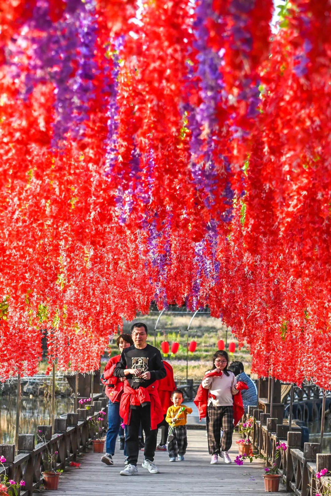 莆田市最新消息概览