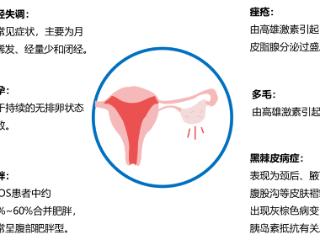 雾里看花 第5页