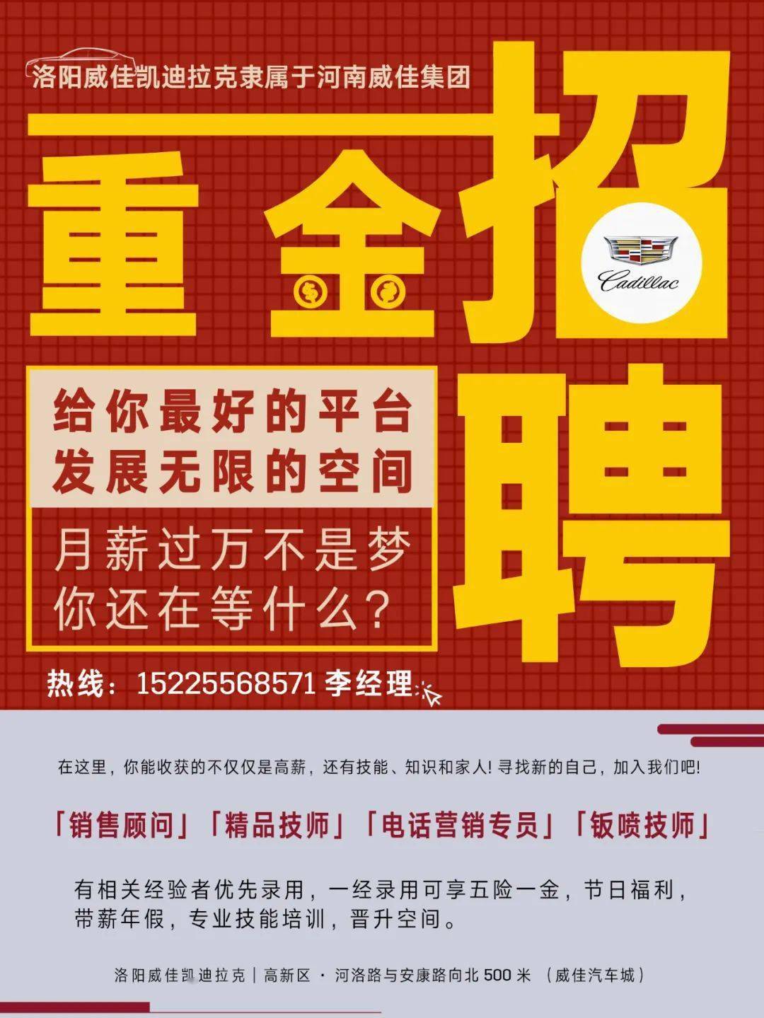 洛阳招聘网最新招聘信息汇总解析