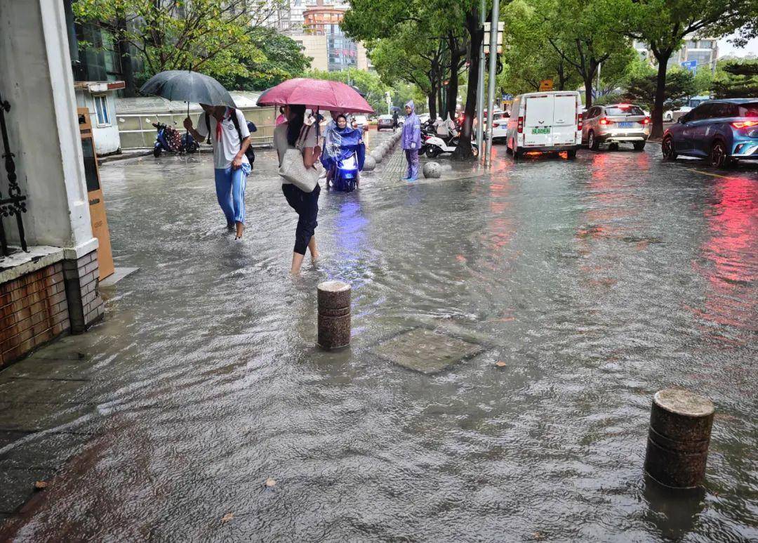 暴雨时期的社会与自然隐患的反思与深度思考