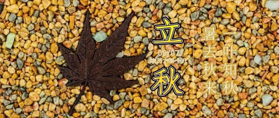 叶少别烦我，少年探索之旅最新章节