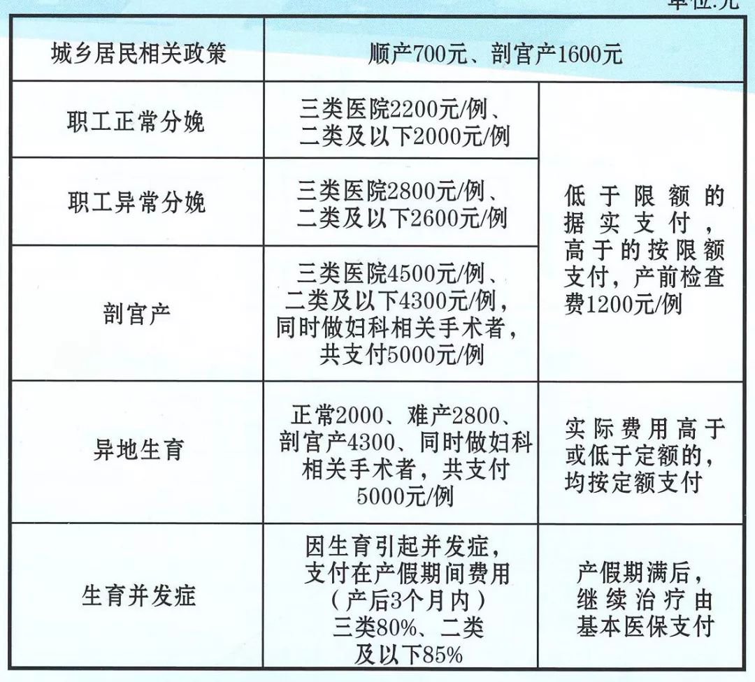 成都最新生育津贴政策进展解析与研究报告