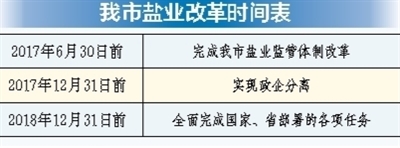 盐改新政策深度解读与最新动态分析