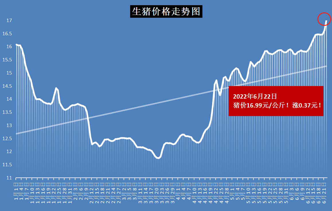 三门峡最新猪价行情概况解读