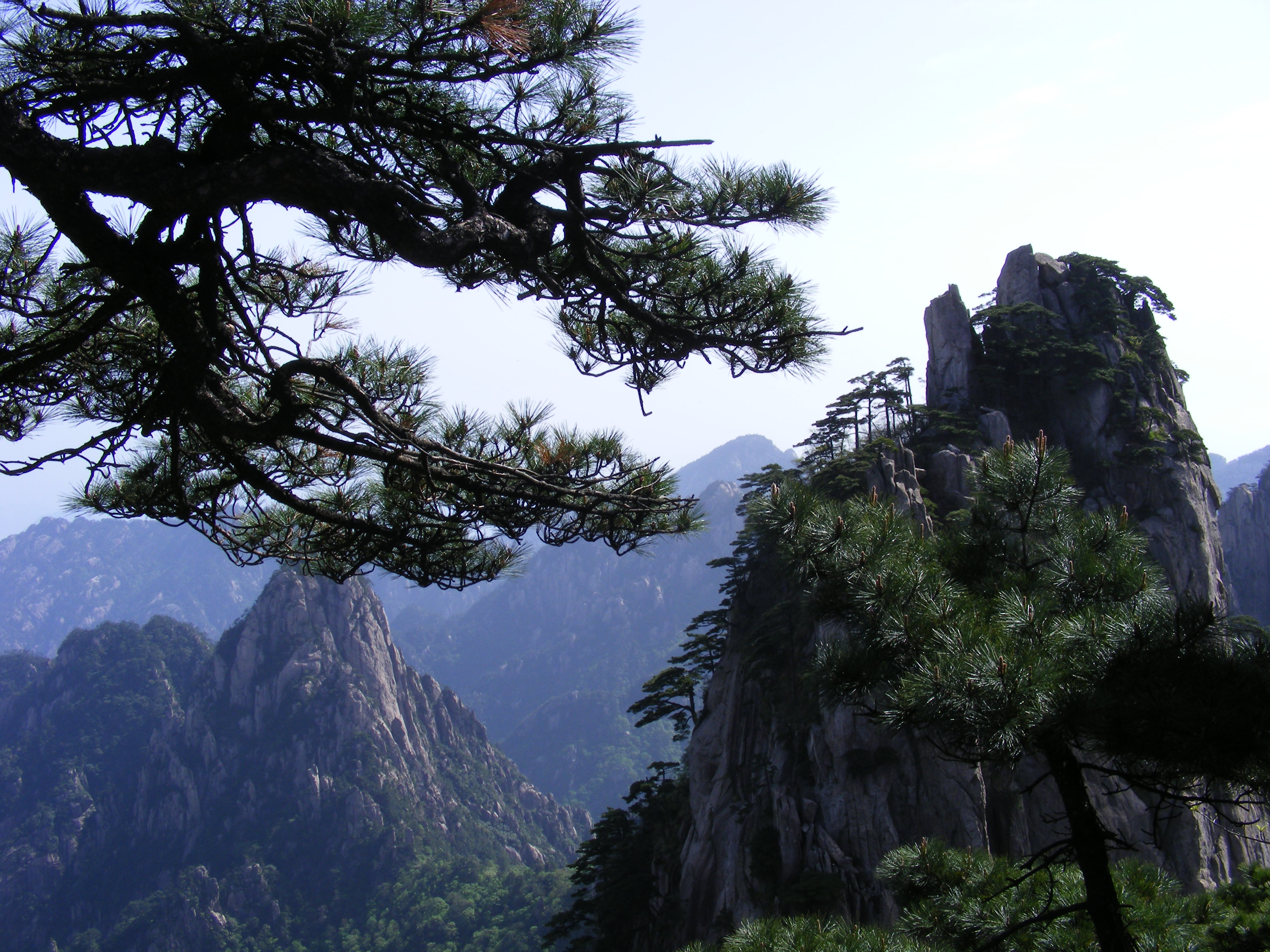 揭秘安徽黄山，人间仙境的独特魅力探索之旅