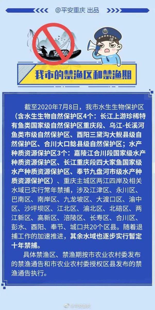 全面禁捕新规定，守护水域生态，迈向可持续发展未来