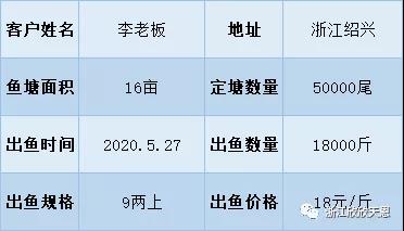 鱼价最新行情动态及未来展望分析