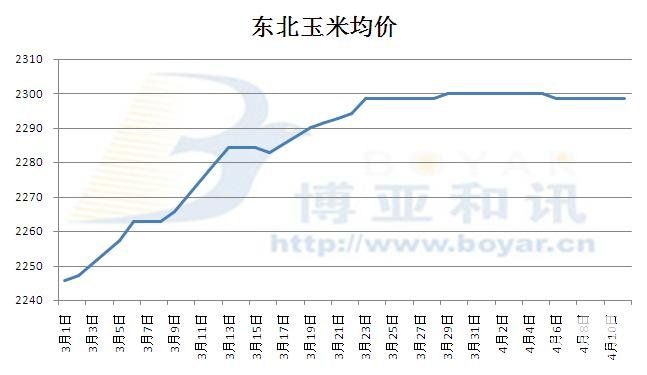 玉米最新价格走势分析报告发布