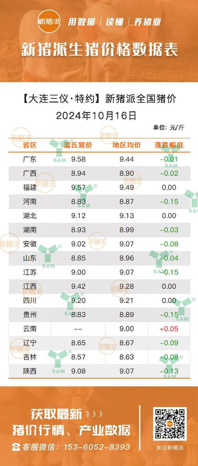 最新小猪仔价格动态解析