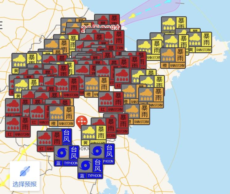 东营最新动态，城市蓬勃发展机遇与挑战并存