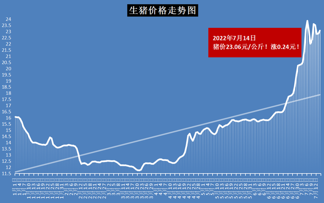 湖南郴州猪价走势分析与预测报告揭晓最新行情展望