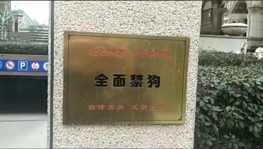 悦湖国际社区，运城最佳小区新生活