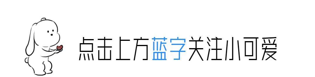 中国2024年退休年龄最新规定概述