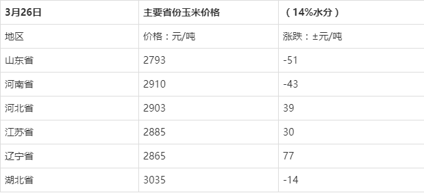 今日玉米价格走势图解析，最新市场动态及趋势预测