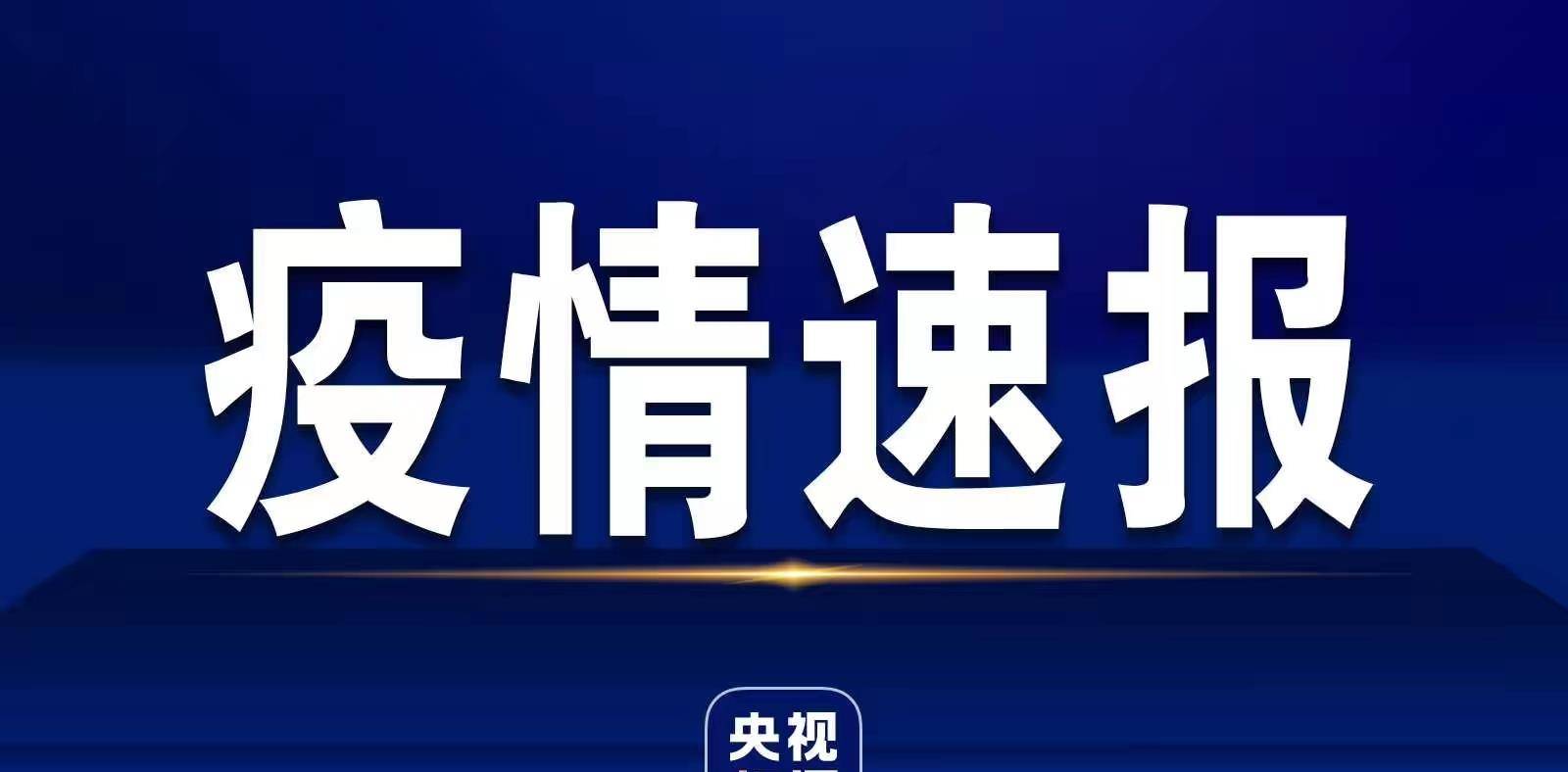 疫情最新官方报告发布，国内国际疫情最新情况及全面概述摘要通盘。