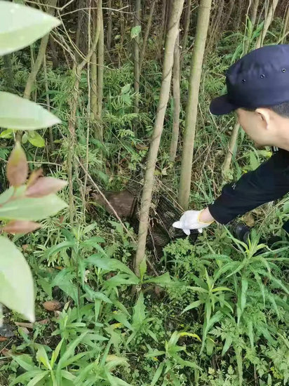 魏坚毅精湛技艺展现，不懈追求的精神风貌视频新篇章