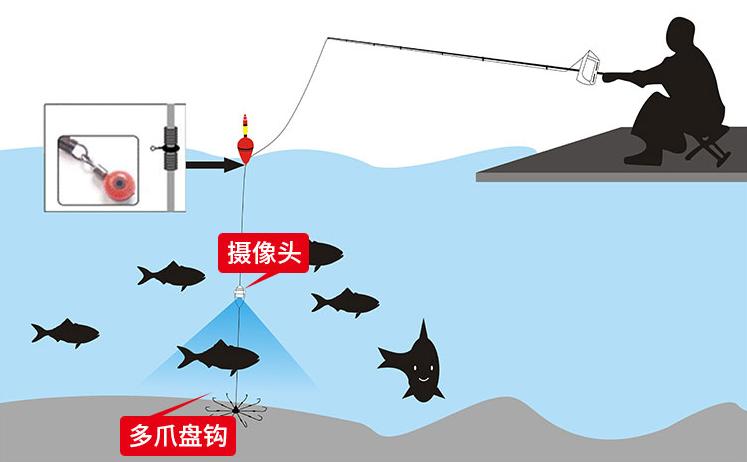 锚鱼视频发展趋势与潮流，技术与体验的融合革新