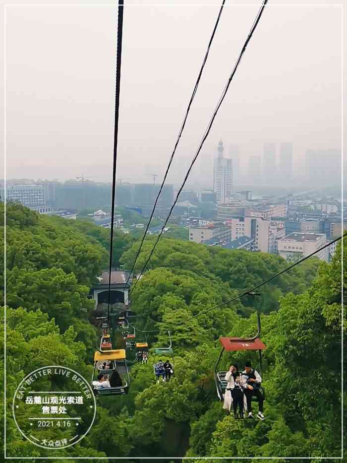 岳麓山索道购票最新指南