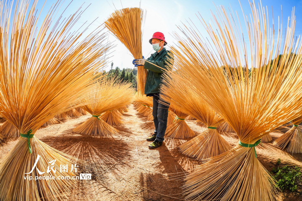 探索新领域律动乐章，竹子鼓的艺术表现与创新应用探索